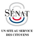 Parl. -  Intervention des cabinets de conseil privés : la commission des lois du Sénat n’a pas jugé justifié d’intégrer les collectivités territoriales dans le champ d’application du texte (PPL)